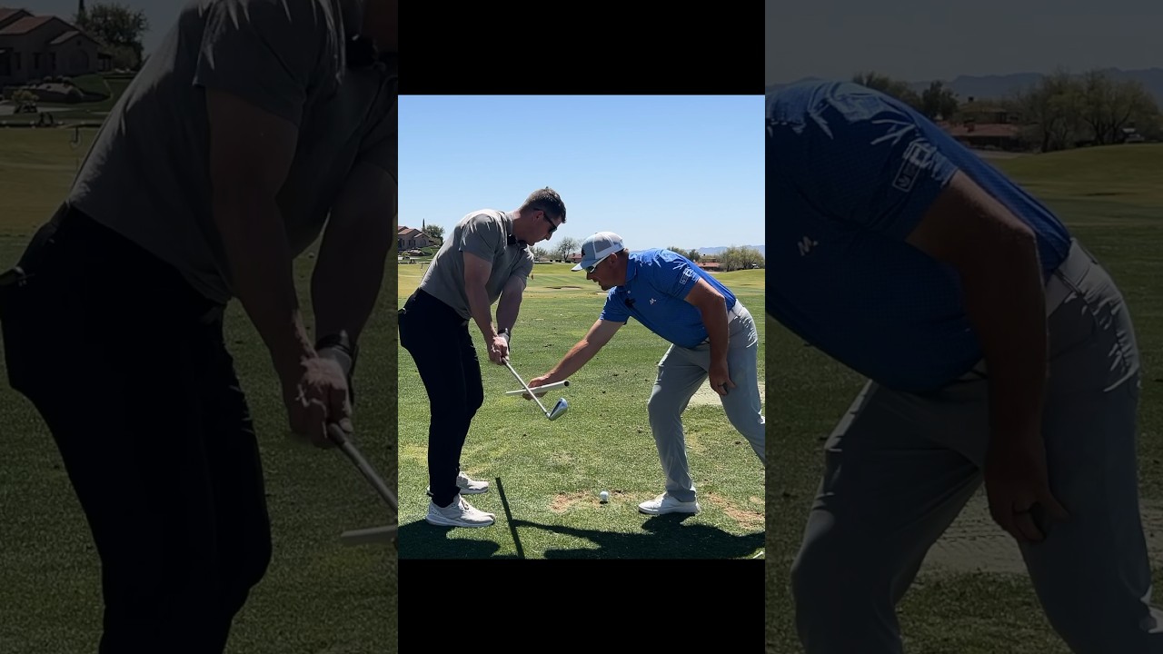 Don’t Hit My Stick! Don’t Hit My Stick!