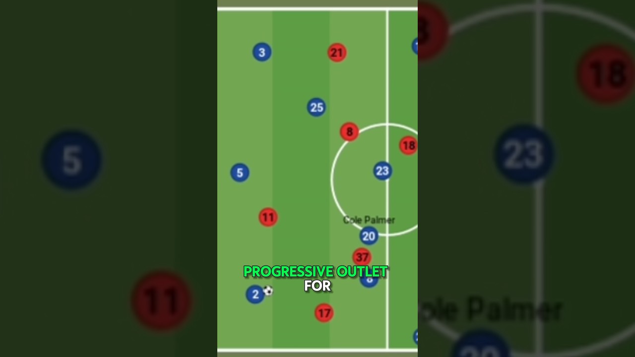 WHY Cole PALMER Is So IMPORTANT For Chelsea #football #chelsea #chelseanews #colepalmer #mancity WHY Cole PALMER Is So IMPORTANT For Chelsea #football #chelsea #chelseanews #colepalmer #mancity