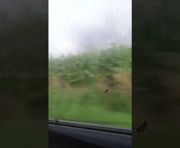Voilà la belle voiture (120 chevaux)