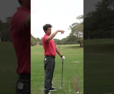 It time to stop trying to figure out the golf swing (see description)