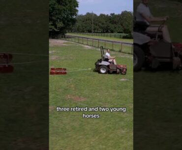 Paddock Blade cleaning made simple with a Girl #horsecare #horse #farming #horselife #paddockblade