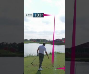 One-hopper for an ace! 🎯