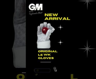Wicket-Keeping Gloves