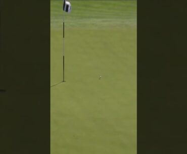 GET IN! Koepka holes out for eagle on the 11th. 🦅 #livgolf #shorts