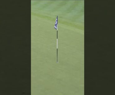Slam dunk eagle from Schwartzel! 🔥 #livgolf #shorts