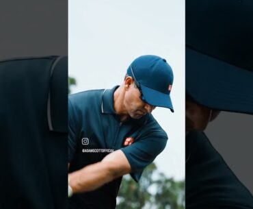 보기만 해도 도움이 되는 골프스윙 (Adam Scott) #골프스윙 #골프레슨 #골프이미지트레이닝
