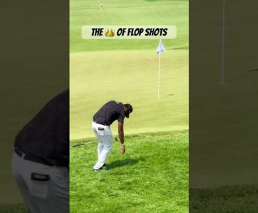 Sahith Theegala’s wedge game is next level 🔥