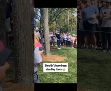 Max homa hits camrea man. #shorts #funny #golf
