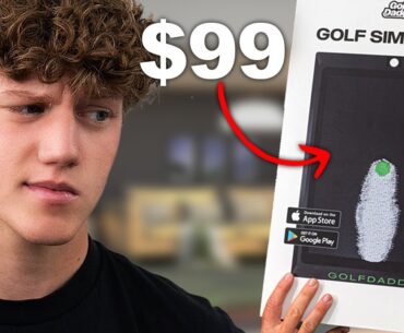 I Tested The $99 Golf Simulator (Is it TOO cheap?)