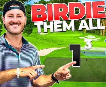 I tried to make a birdie from every tee box on this course
