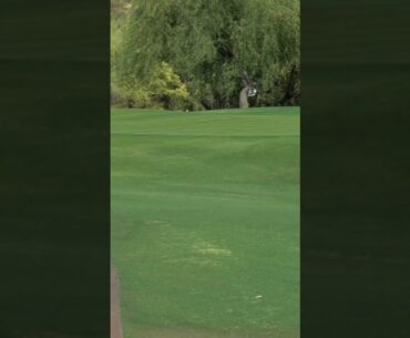 Day 8 of Hunting For an Eagle!! #golf