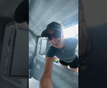 Head in the ice cooler ❄️