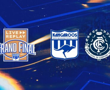 1999 AFL Grand Final: North Melbourne v Carlton
