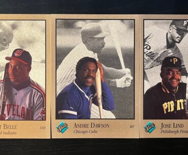 1992 Leaf Studio Baseball $1 Pack from LCS (1st) #rdj3video