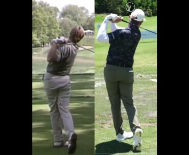어니엘스 vs. 어니엘스