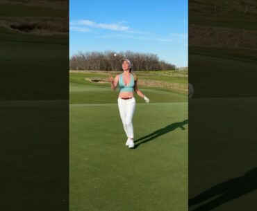 Golf ball retriever :)