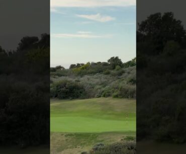 Par 3 tee short at Pelican hill