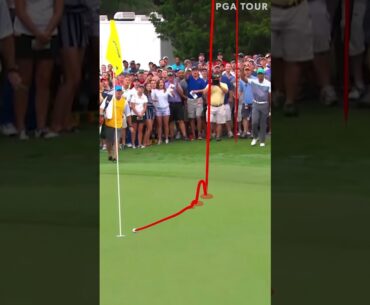 INSANE flop shot from Tiger Woods 🐅