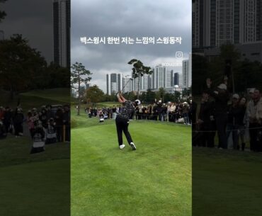 보기만 해도 도움이 되는 골프스윙 (Sung-Jae Im) 임성재프로 #골프스윙 #골프레슨 #골프이미지트레이닝 #임성재 #임성재프로 #골프asmr #golfasmr