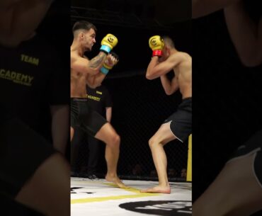 Harry Hilden brutal KO at #CWSE35