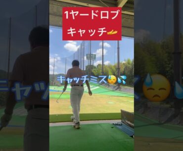 1ヤードロブキャッチ　アレックス・ノーレンやTania Tareがするウェッヂのトリックショット