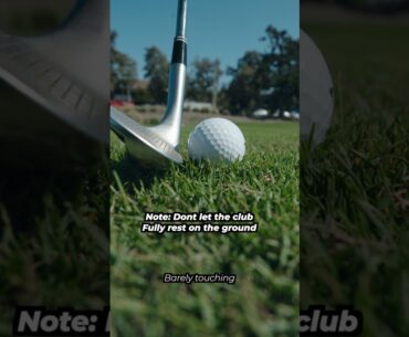 This Tip Will Change Your Life