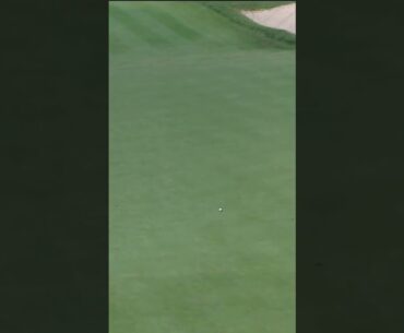 Just inches from perfection Talor Gooch almost ace 😮 #Shorts #LIVGolf #golf