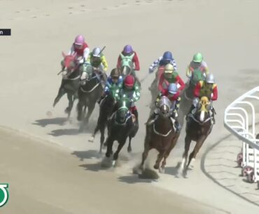 (Busan) 2024.08.11 R9 Class 4 (1300M) Handicap
