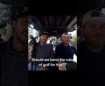 Should we bend the rules of golf for this??