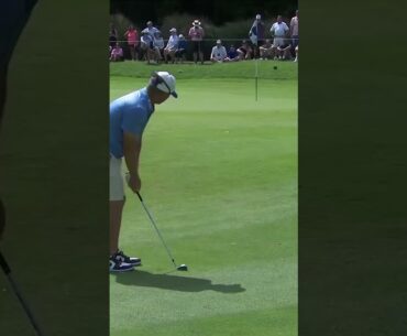 You won't see a WILDER birdie today. Wow Talor Gooch! 🤯 #livgolf #shorts
