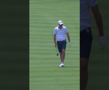 ALBATROSS 🚨 Brendan Steele makes the first one in LIV Golf history! #livgolf #shorts