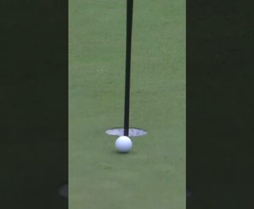With ease!! Hole out eagle from Talor Gooch Round 1 LIV Golf Greenbrier #LIVGolf #shorts