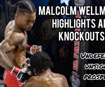Malcolm Wellmaker Highlights and Knockouts 2024