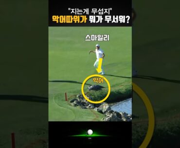 악어는 무섭지 않아요. 게임에서 지는게 무섭지.