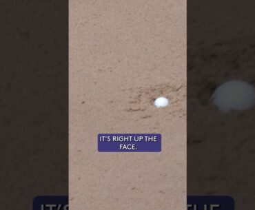 WORST plugged bunker lie, EVER? 🤢