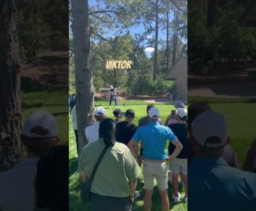 Viktor Hovland’s swing 2024 BMW Championship #golfshorts #pgatour #golf #golfswing