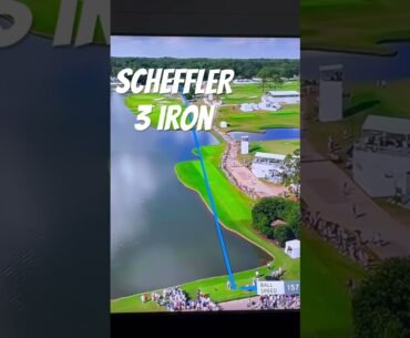 SCOTTY SCHEFFLER #shorts #diy #golftips #golf #golfer #short #golfswing #power #tips #champion