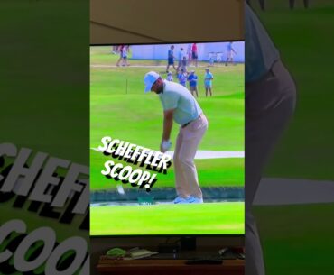 SCOTTIE SCHEFFLER #shorts #diy #golftips #golf #golfer #short #golfswing #power #tips #champion