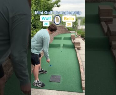 Hole 12, Round 1 | #2 Wolf vs #7 Bella (Mini Golf Championship) #minigolf
