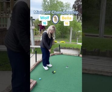 Hole 8, Round 1 | #2 Wolf vs #7 Bella (Mini Golf Championship) #minigolf