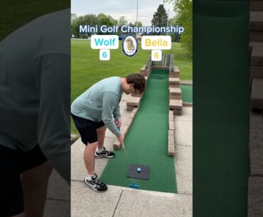Hole 4, Round 1 | #2 Wolf vs #7 Bella (Mini Golf Championship) #minigolf