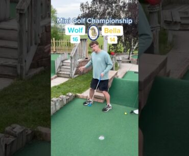 Hole 7, Round 1 | #2 Wolf vs #7 Bella (Mini Golf Championship) #minigolf