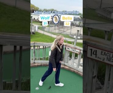 Hole 14, Round 1 | #2 Wolf vs #7 Bella (Mini Golf Championship) #minigolf