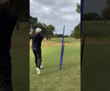 Epic Golf Shot Results in Easy Par #golfshot  #golf