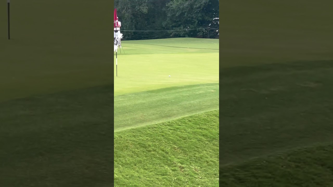 #golfswing #fyp #followthrough #waitforit #golfergolfing