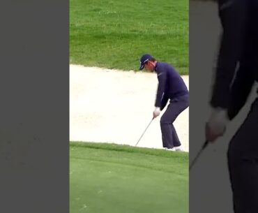 What a RECOVERY for birdie! 👏