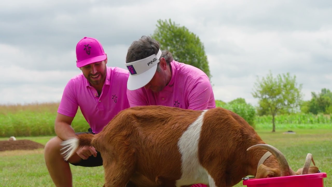 RangeGoats have surprising skills outside the Golf Course RangeGoats have surprising skills outside the Golf Course