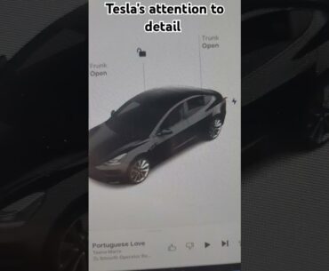 Nerding out a little on my Tesla