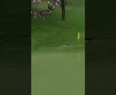 You're KIDDING me! 🤯