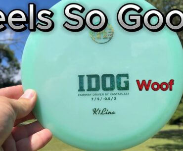 Is This Disc Better Than Your TEEBIRD? - Kastaplast IDog Rapid Disc Review